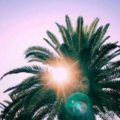 快3彩票官方下载